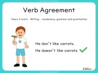 Verb Agreement - Years 3 and 4